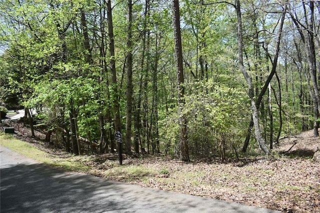 Listing photo 3 for 62 Miners Pl, Dahlonega GA 30533