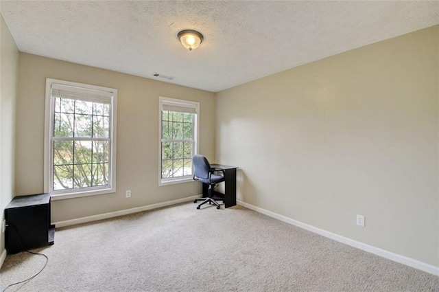 unfurnished office featuring light colored carpet and a textured ceiling