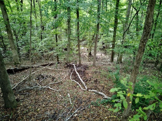 view of local wilderness