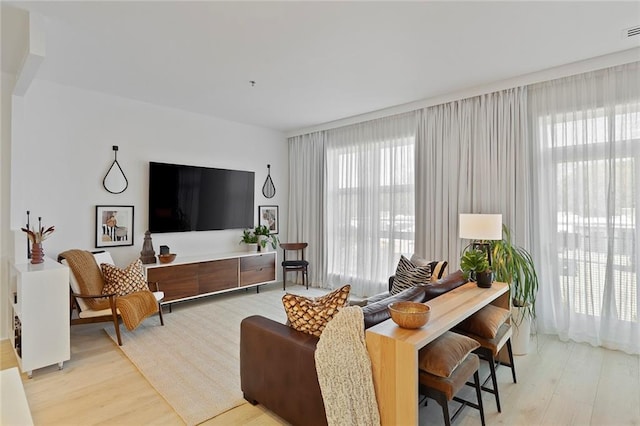 living room featuring light hardwood / wood-style floors