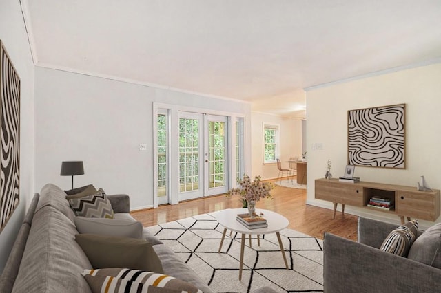1445 Monroe Dr NE Unit F10, Atlanta, GA 30324 - living room with crown molding, wood finished floors, and baseboards