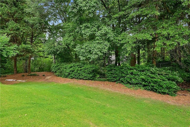 1634 Ponce De Leon Ave NE Unit 514, Atlanta, GA 30307 - view of grassy yard