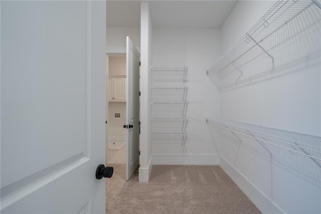 walk in closet with carpet flooring