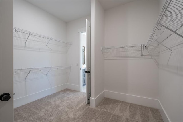 walk in closet featuring carpet