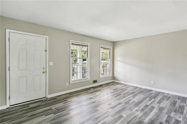 entryway featuring wood-type flooring