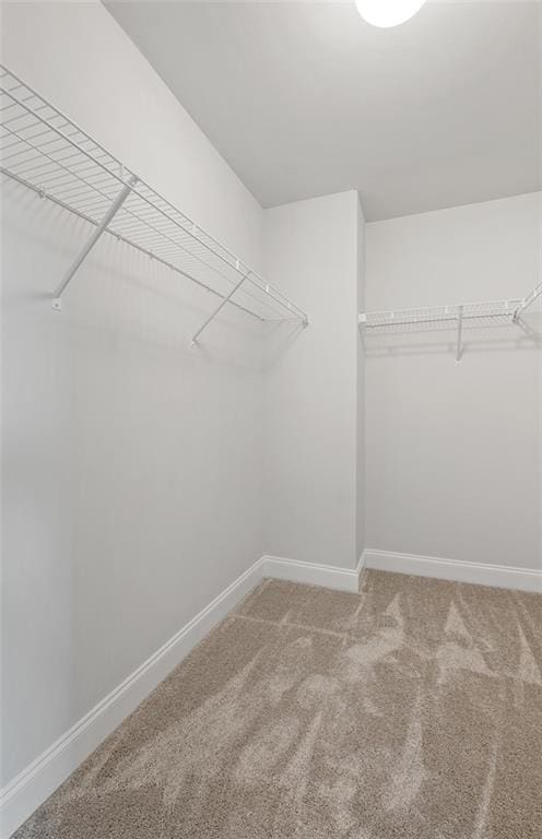 walk in closet featuring carpet flooring