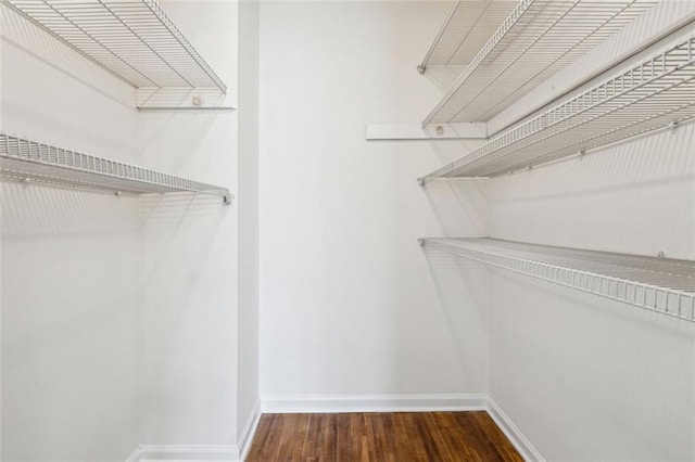 spacious closet with dark hardwood / wood-style flooring