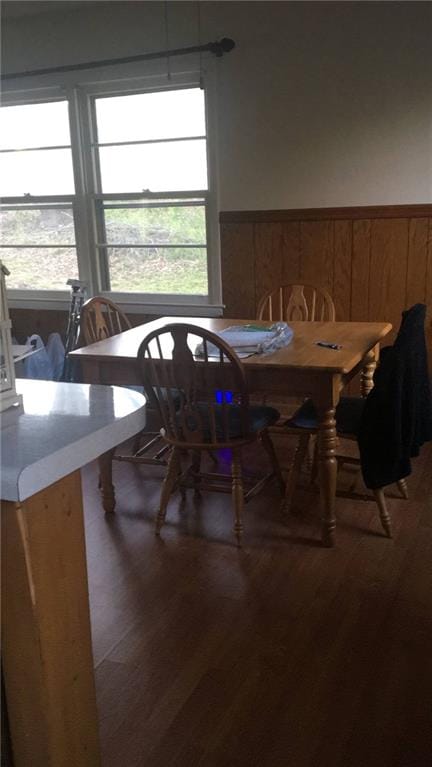 dining space with wood-type flooring