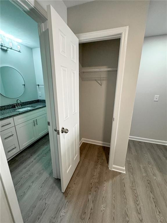 closet featuring a sink