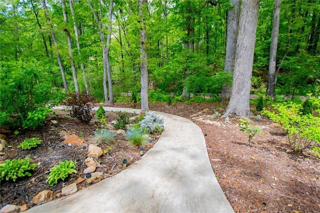view of home's community with a wooded view