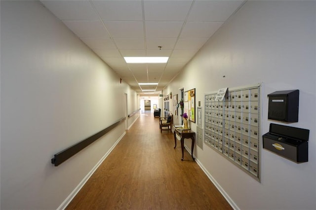 hallway featuring hardwood / wood-style flooring, a drop ceiling, and a mail area