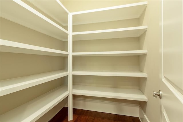 385 Windy Pines Trl, Roswell, GA 30075 - view of pantry