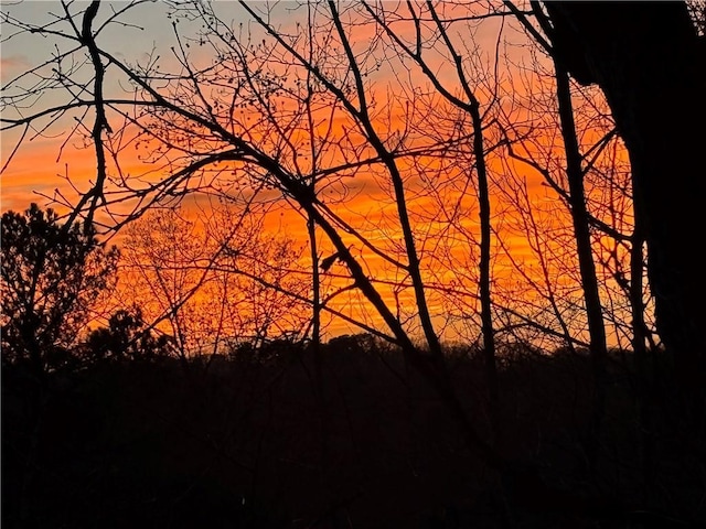 385 Windy Pines Trl, Roswell, GA 30075 - view of nature at dusk
