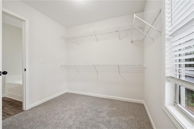56 Sugar Leaf Ln, Jefferson, GA 30549 - spacious closet with carpet floors