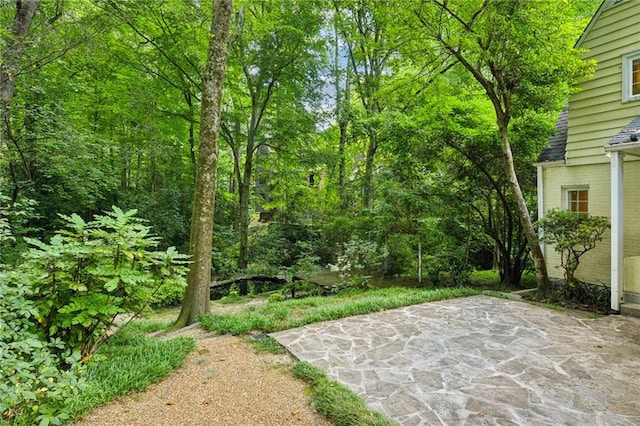 view of yard featuring a patio area