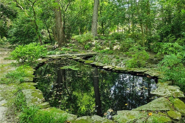 view of mother earth's splendor featuring a water view