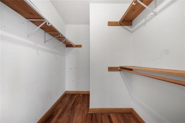 walk in closet featuring wood finished floors