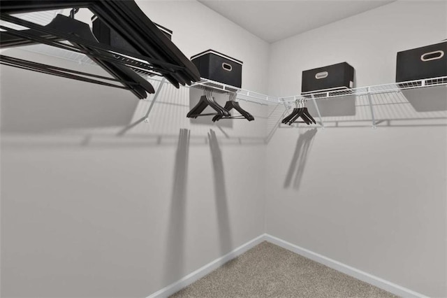 2766 Aralynn Way, College Park, GA 30337 - walk in closet with carpet