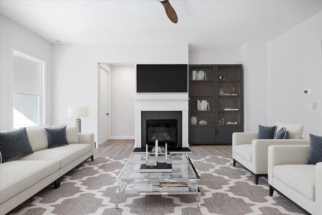 living room with ceiling fan and wood-type flooring