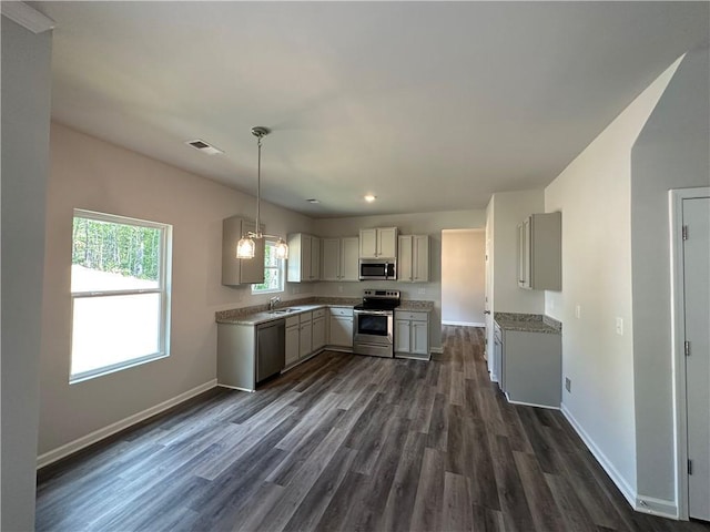 kitchen with dark hardwood / wood-style floors, sink, gray cabinets, and stainless steel appliances