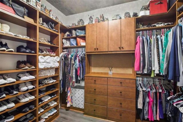 walk in closet with hardwood / wood-style floors