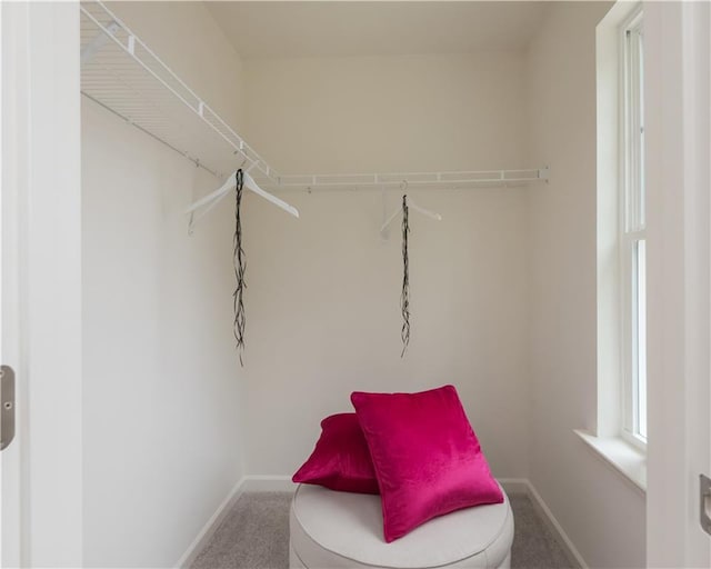 1577 Aiden Way Unit 39, Conyers, GA 30013 - walk in closet featuring carpet floors