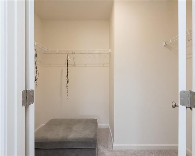 1577 Aiden Way Unit 39, Conyers, GA 30013 - walk in closet with carpet flooring