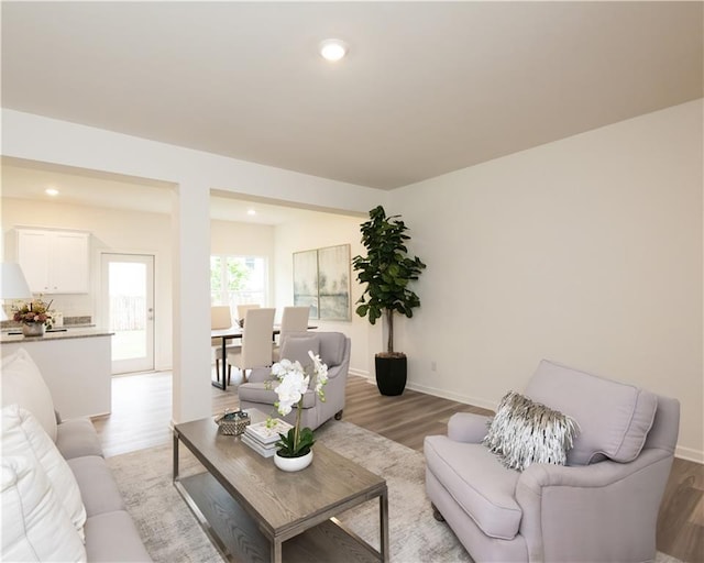 1577 Aiden Way Unit 39, Conyers, GA 30013 - living area with light wood finished floors, recessed lighting, and baseboards