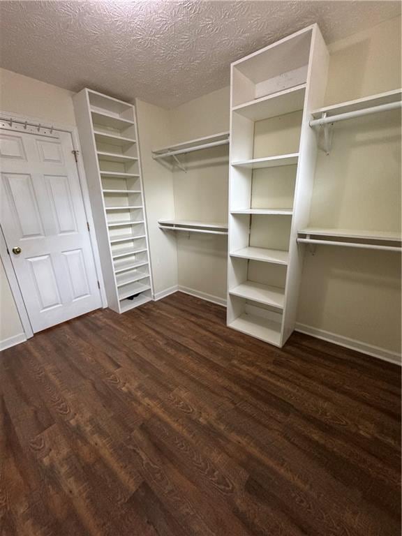 spacious closet with dark hardwood / wood-style floors