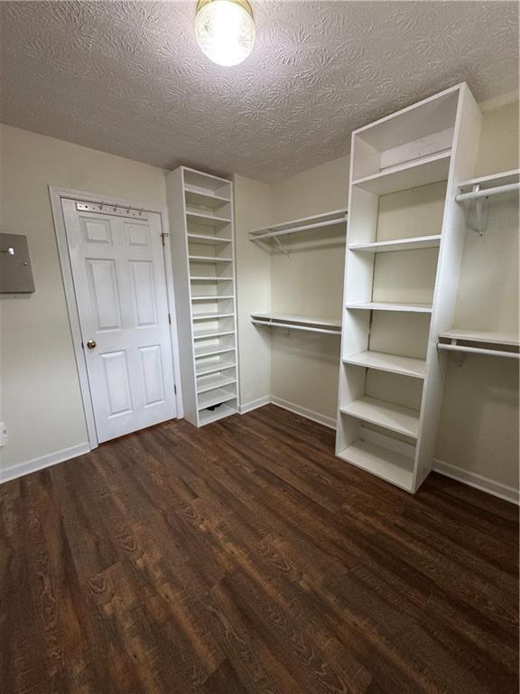 walk in closet with dark hardwood / wood-style flooring