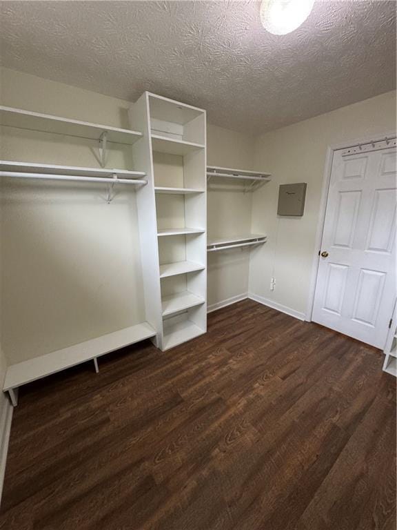 walk in closet featuring electric panel and dark hardwood / wood-style flooring