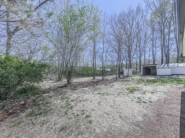 view of yard with an outbuilding