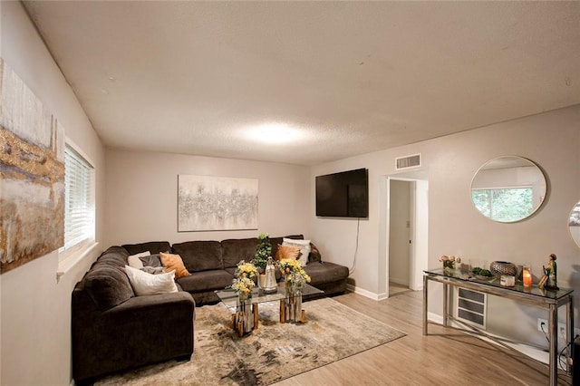 living room featuring light hardwood / wood-style flooring