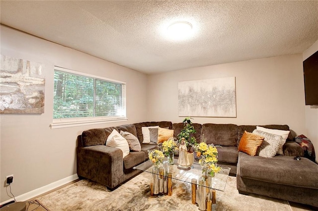 living room featuring a textured ceiling