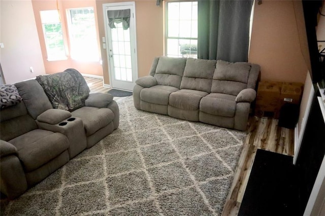 living room featuring hardwood / wood-style floors