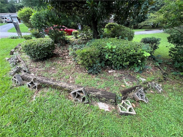 2323 Valleyside Dr, Decatur, GA 30032 - view of grassy yard
