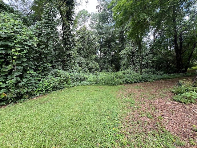 2323 Valleyside Dr, Decatur, GA 30032 - view of green lawn
