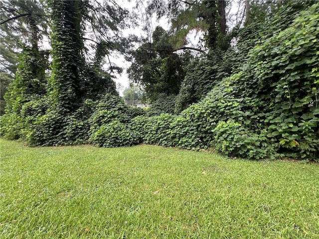 2323 Valleyside Dr, Decatur, GA 30032 - view of grassy yard