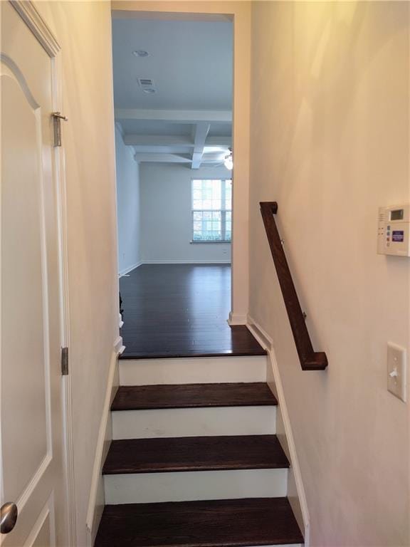 stairway with hardwood / wood-style floors