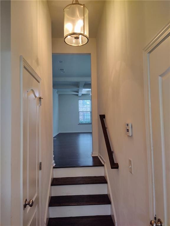 staircase with hardwood / wood-style floors