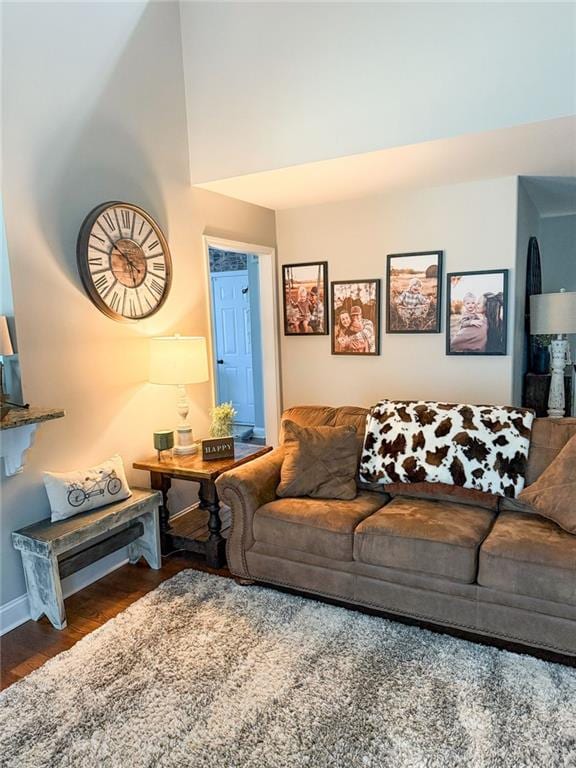 45 Albright Ct, Commerce, GA 30529 - living area with wood finished floors and baseboards