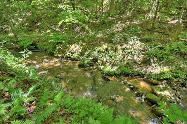 276 Pine Ridge Rd, Ellijay, GA 30536 - view of local wilderness