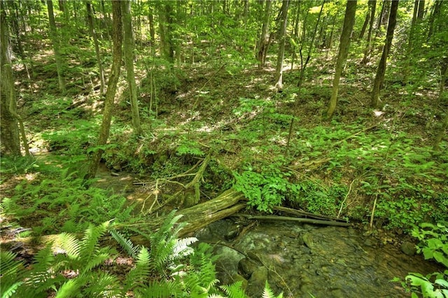 276 Pine Ridge Rd, Ellijay, GA 30536 - view of local wilderness