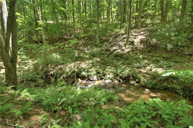 276 Pine Ridge Rd, Ellijay, GA 30536 - view of tree filled area