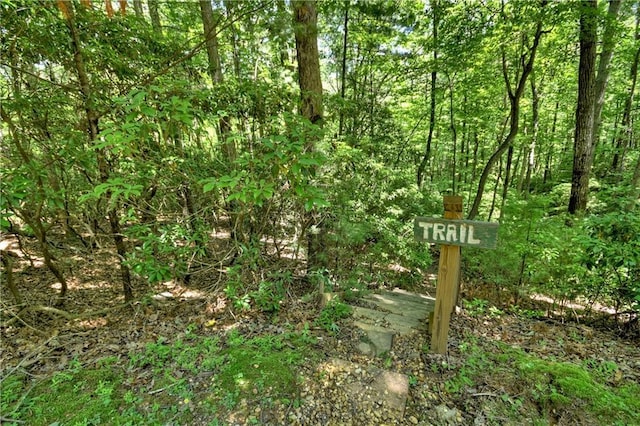 276 Pine Ridge Rd, Ellijay, GA 30536 - exterior view