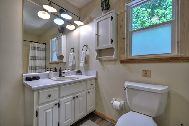 276 Pine Ridge Rd, Ellijay, GA 30536 - full bathroom with vanity and a shower with shower curtain