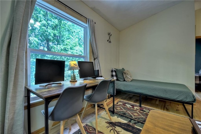 276 Pine Ridge Rd, Ellijay, GA 30536 - home office featuring wood finished floors