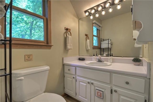 276 Pine Ridge Rd, Ellijay, GA 30536 - half bathroom featuring vanity and vaulted ceiling