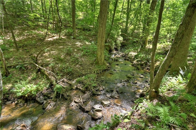 276 Pine Ridge Rd, Ellijay, GA 30536 - view of wooded area