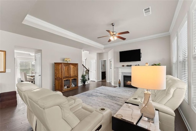 living room with crown molding, dark wood-type flooring, and a raised ceiling